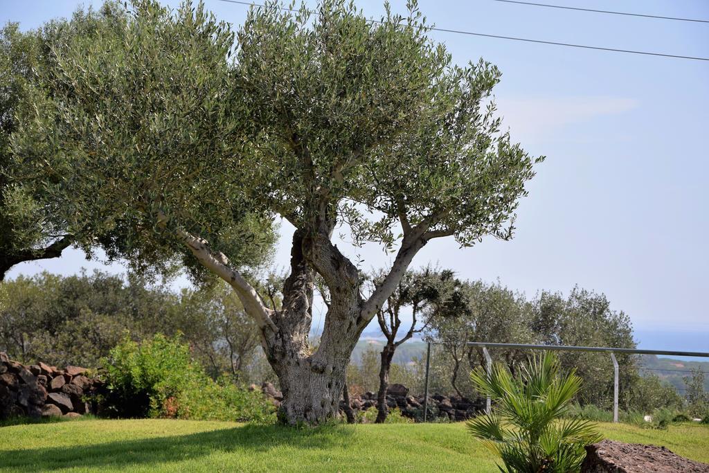 Casa La Vela Holiday home Cala Liberotto